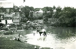 Žernovka - plavení koní v rybníku